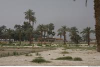 Photo Texture of Landscape Dendera 0176